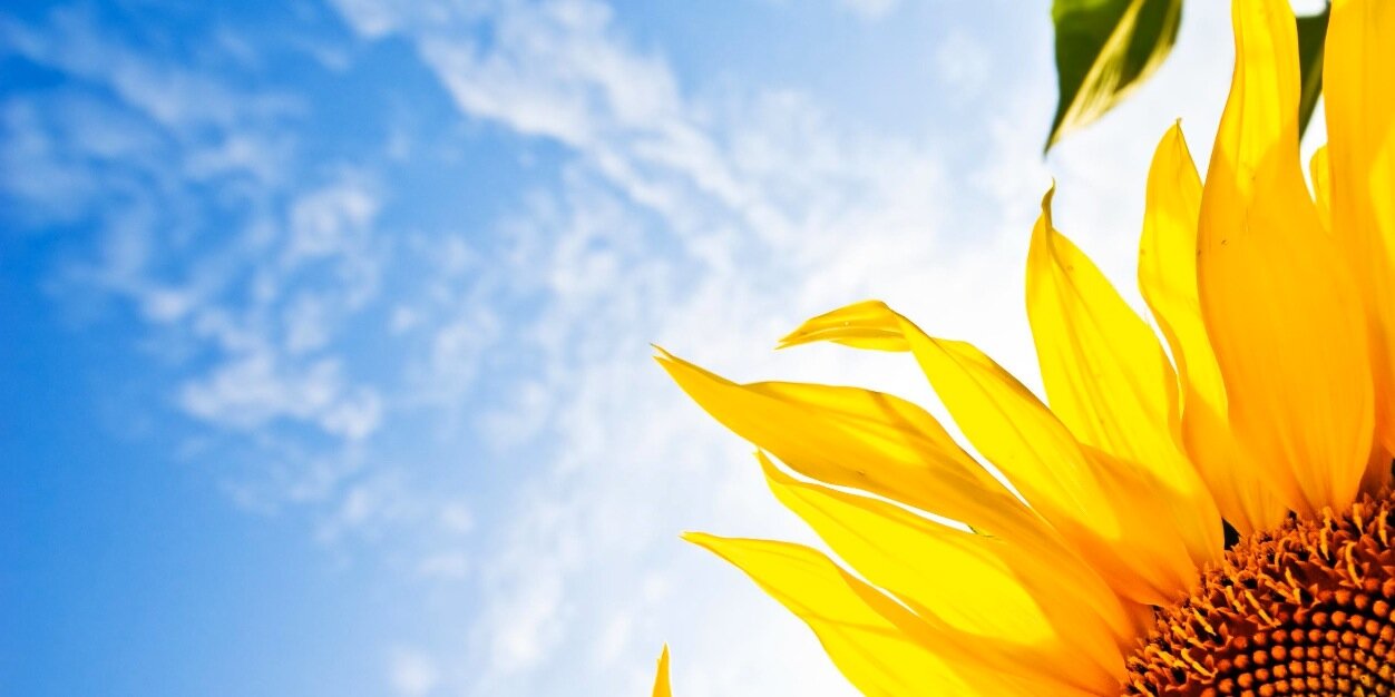 A_lars's profile banner image