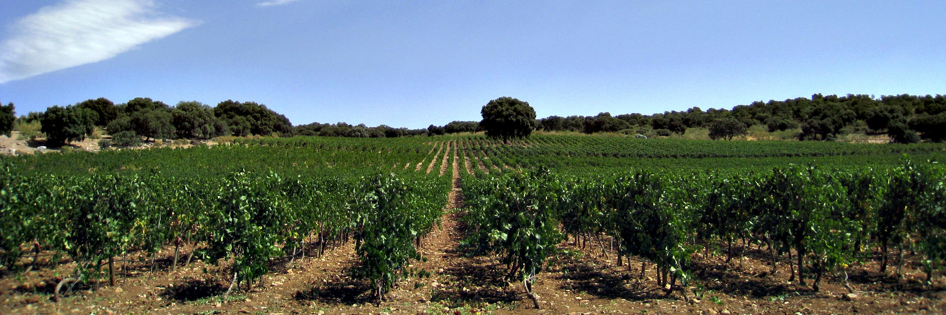 campotec_es's profile banner image