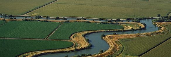 SacramentoFoodPolicy banner