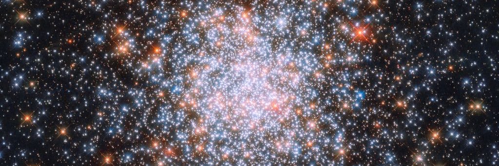 Robbie Gardner banner