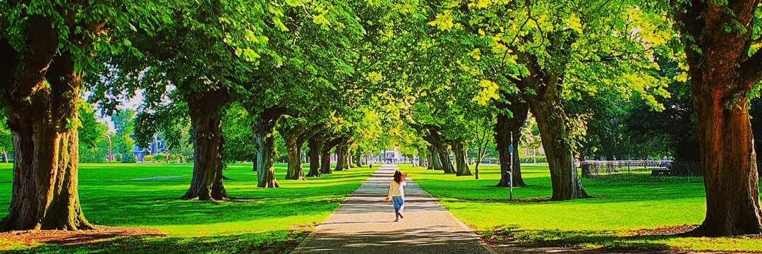 Fatih Üstün banner