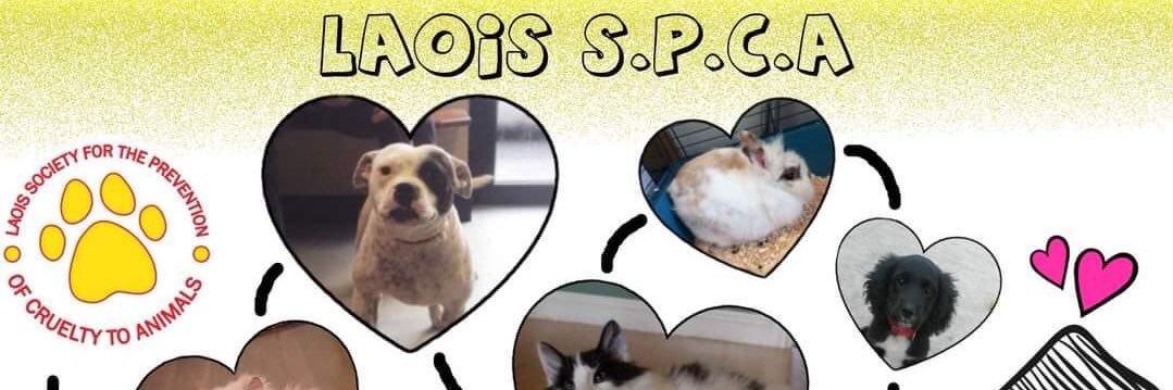LaoisSPCA's profile banner image