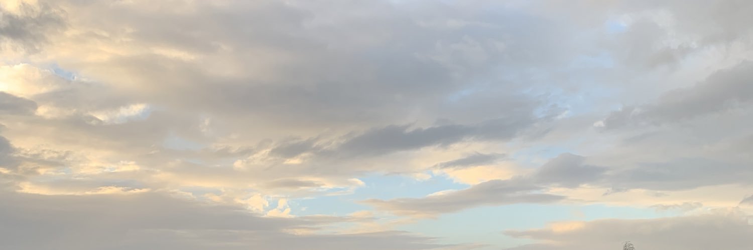 despr8enuf's profile banner image