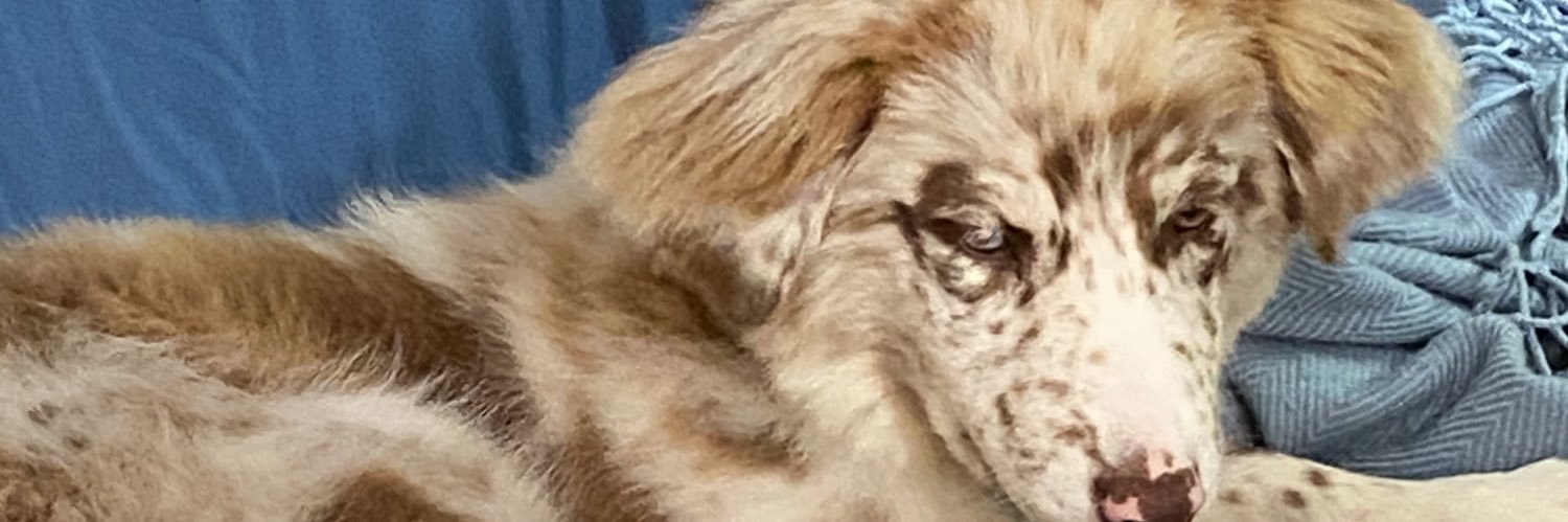 punkroxmum's profile banner image