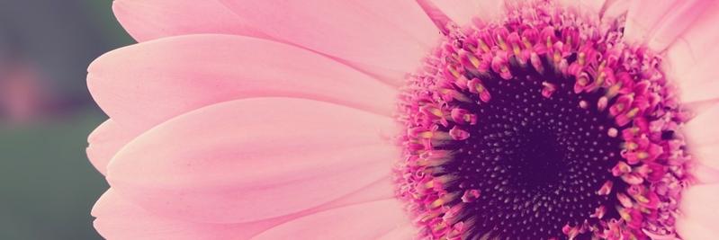 alecee_xo's profile banner image