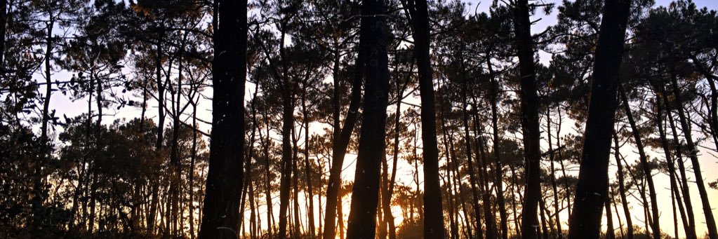 ClemenceOrion's profile banner image