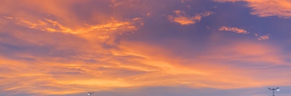 Eween_Alli's profile banner image