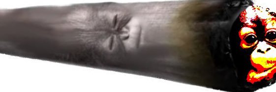 ૮Ꮚྀིᴗ͈ ‸ ᴗ͈꒱১ ✮⋆˙ banner