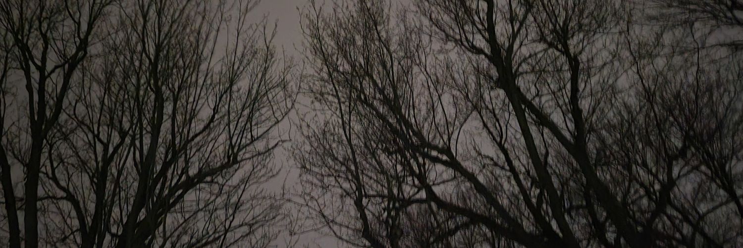 PriyankaYolmo's profile banner image