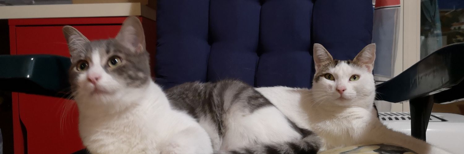 giuliarizzo67's profile banner image