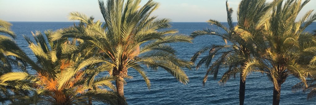 Adrinitaaa's profile banner image