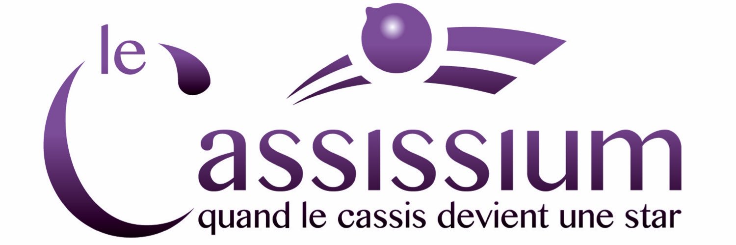 LeCassissium's profile banner image