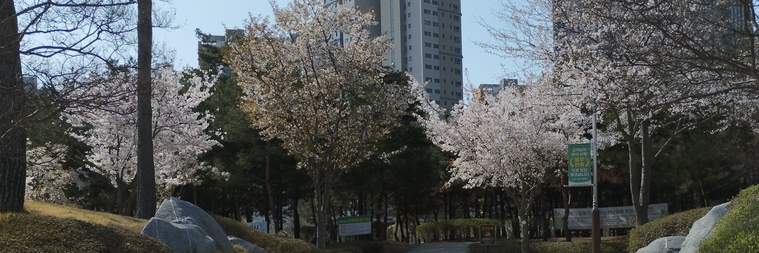 shellisbobellis's profile banner image