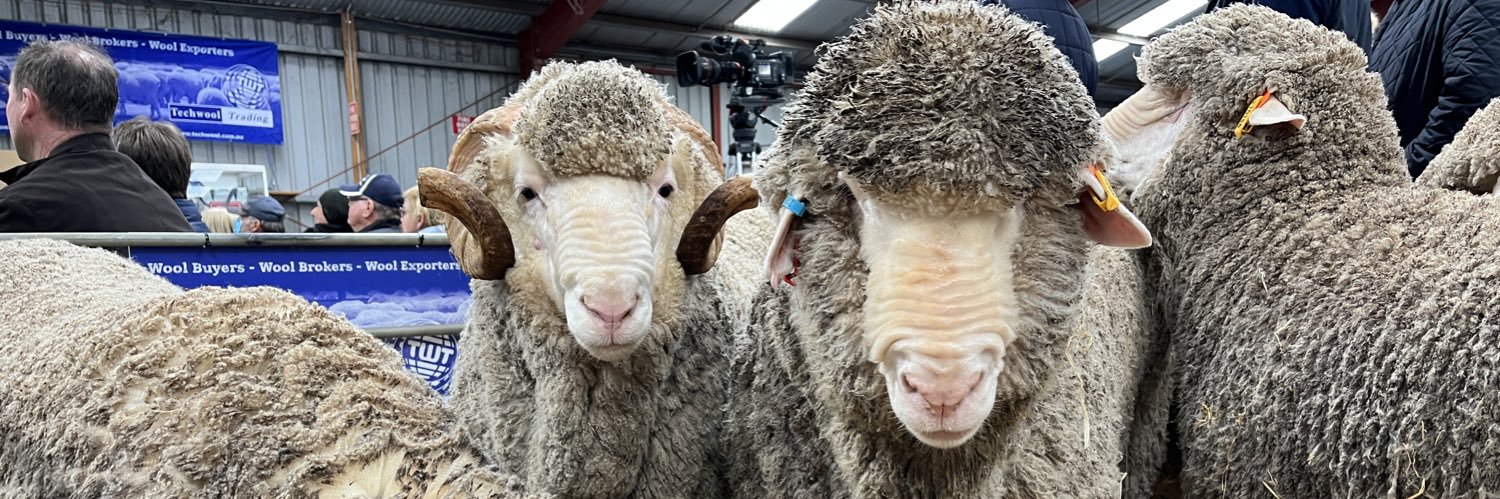 Bryce Eishold banner