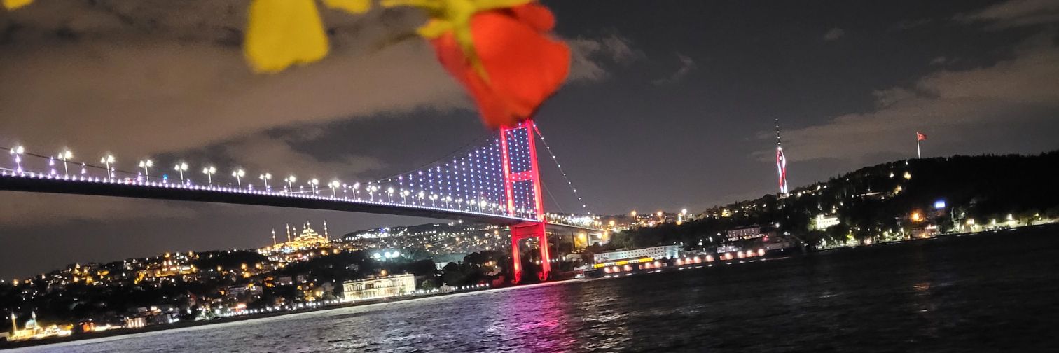 chy346's profile banner image