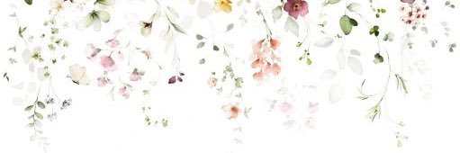 FankaKate's profile banner image