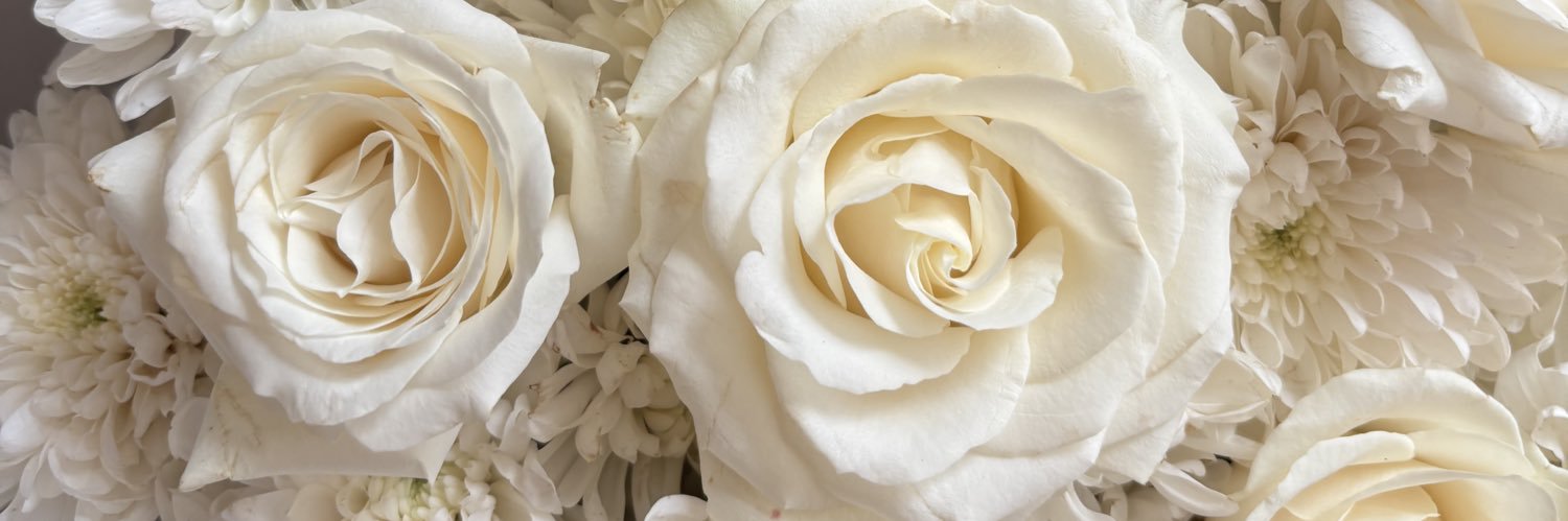 NZeane's profile banner image