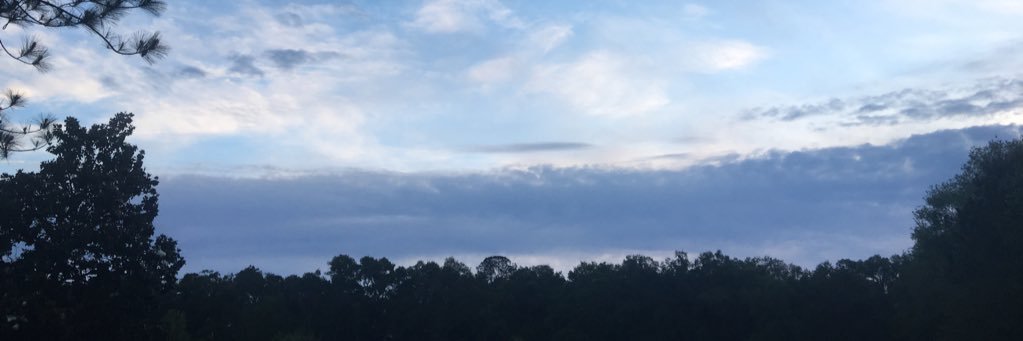 katelynoxer's profile banner image
