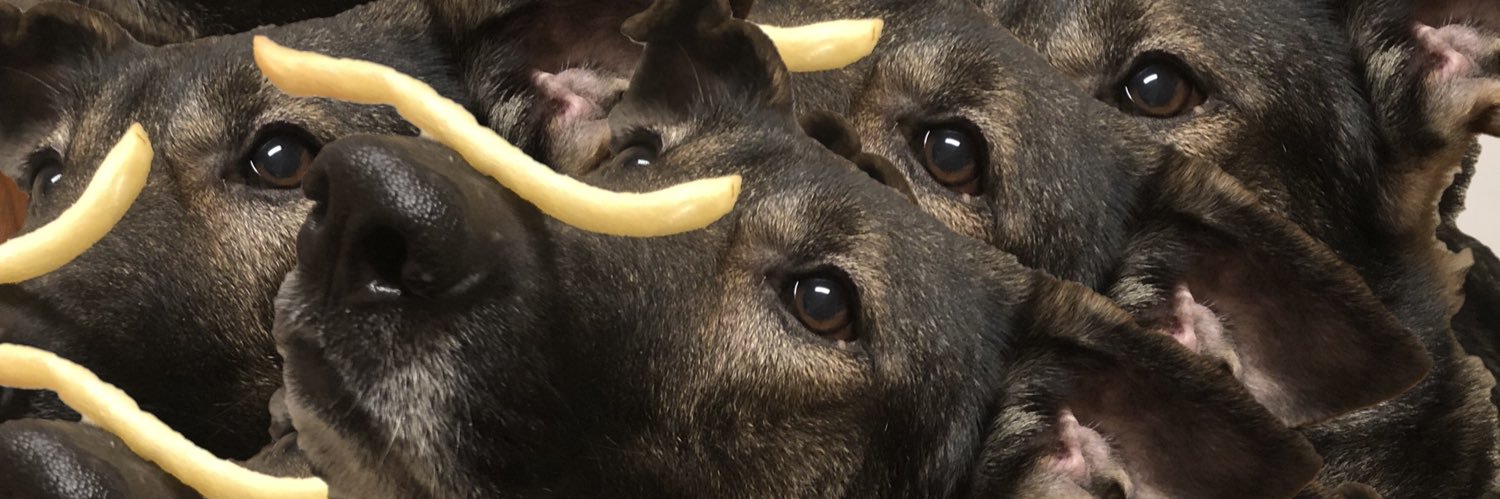 ohdev's profile banner image