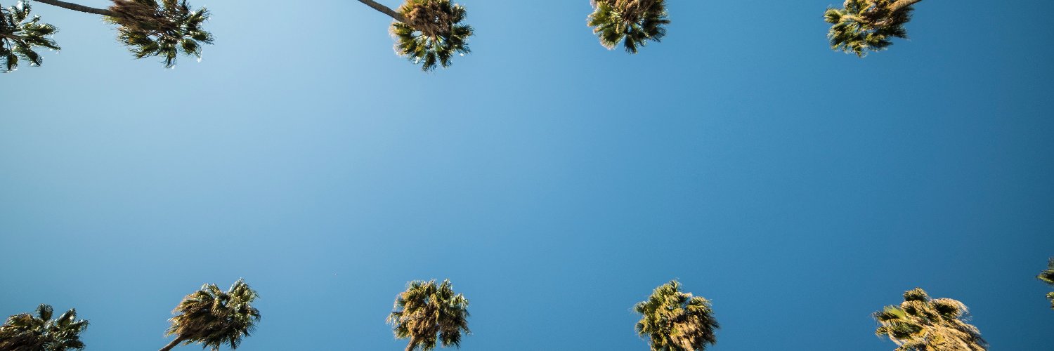 Ani Caribbean banner