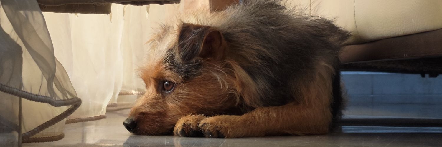 GordonThom1's profile banner image