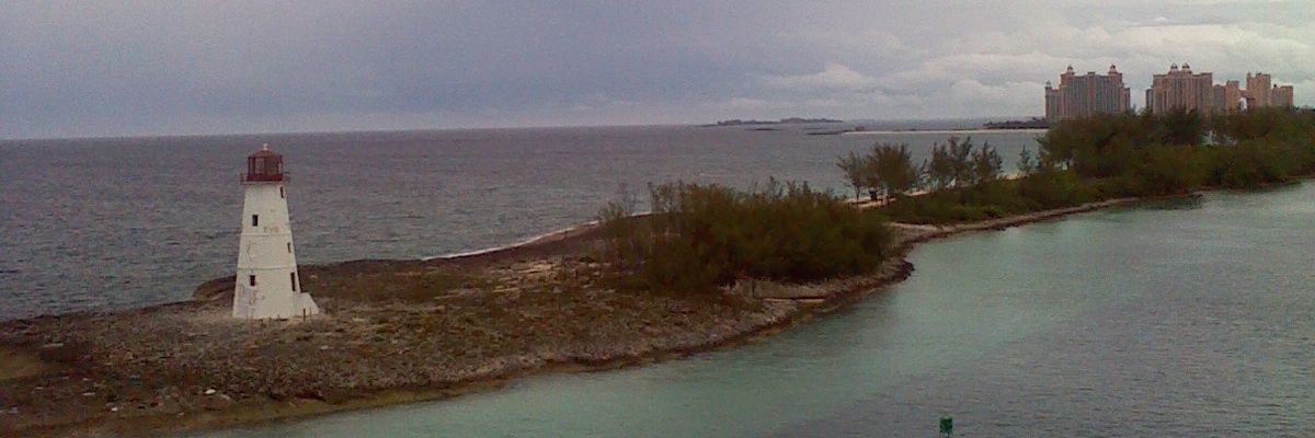 cocoatyre's profile banner image
