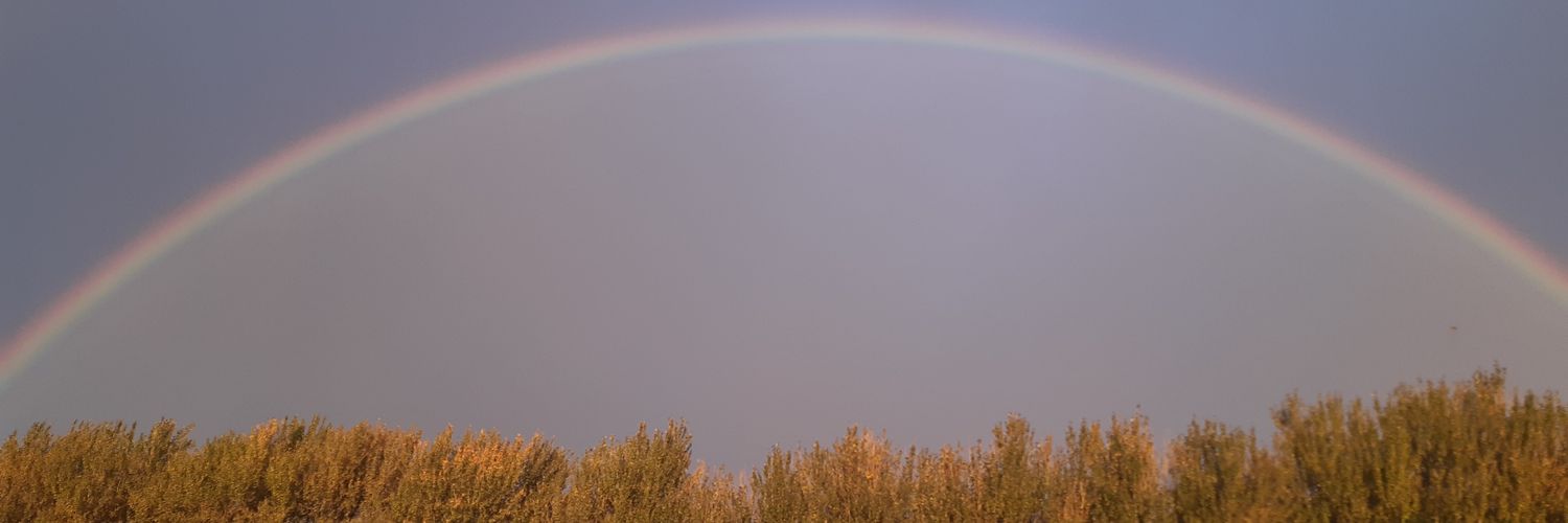 vtarr's profile banner image