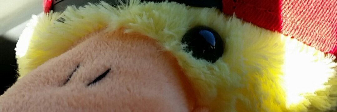 LukasLiden's profile banner image