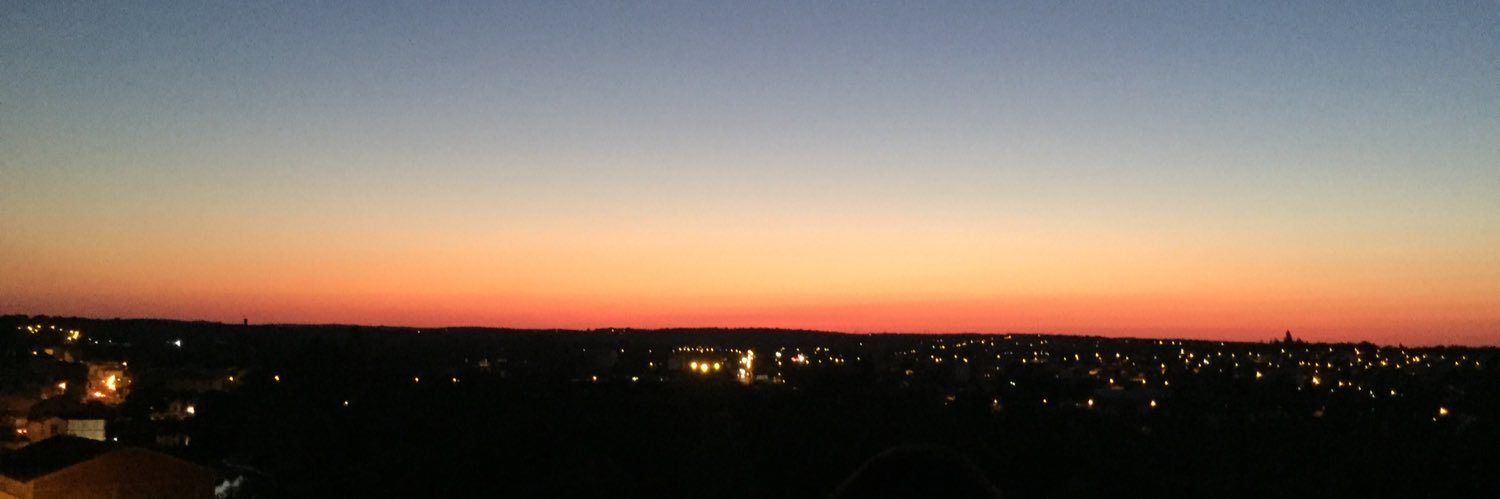 Andros 🌻🇵🇸 banner