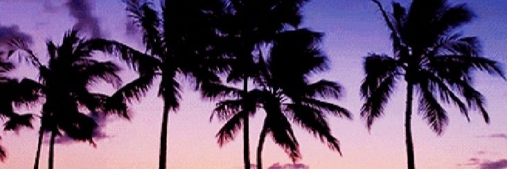 TheMrsA2's profile banner image