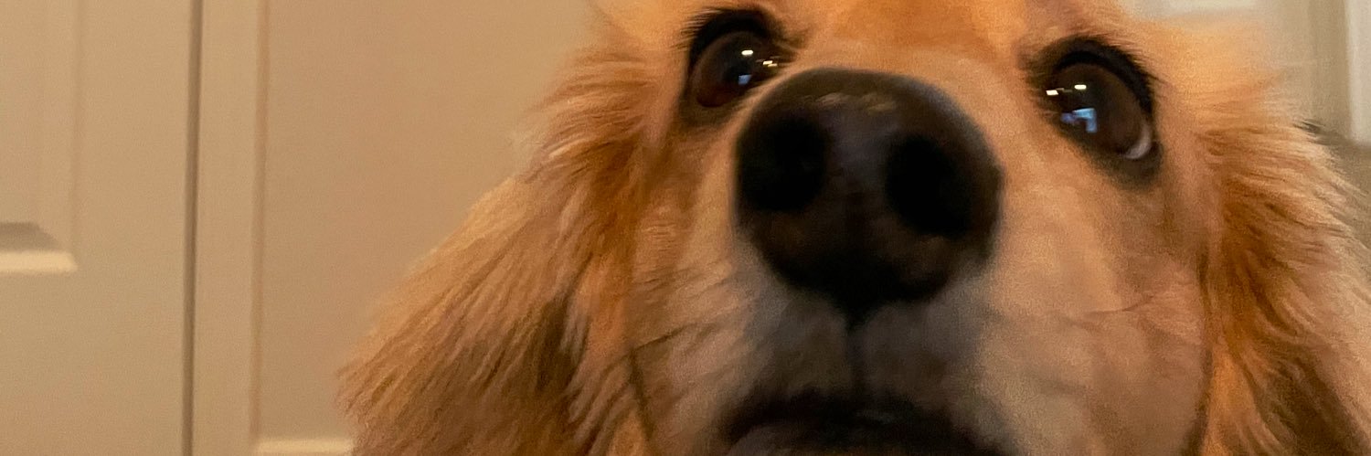 Mace_221's profile banner image