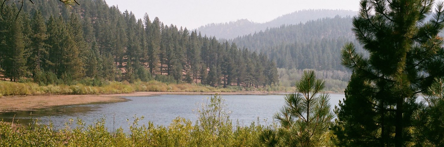 duanmackenzie's profile banner image
