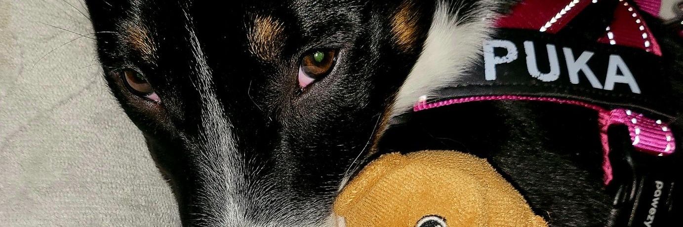 davidj505's profile banner image