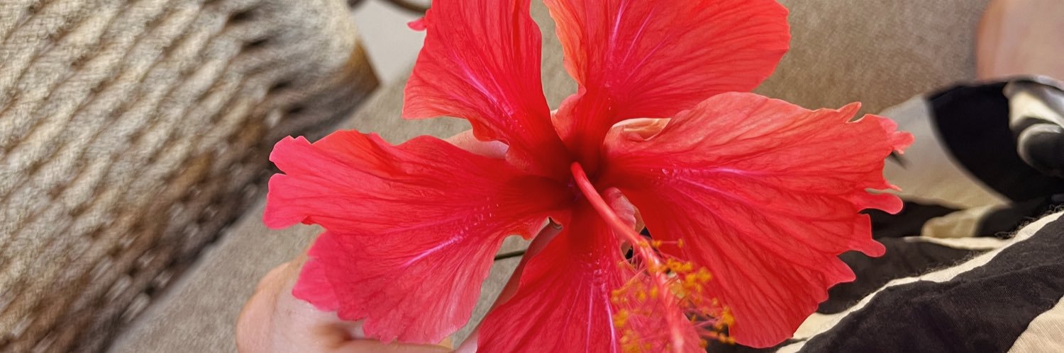 VickyFigoseco's profile banner image