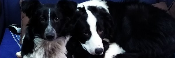 FernandoRVLopes Profile Banner