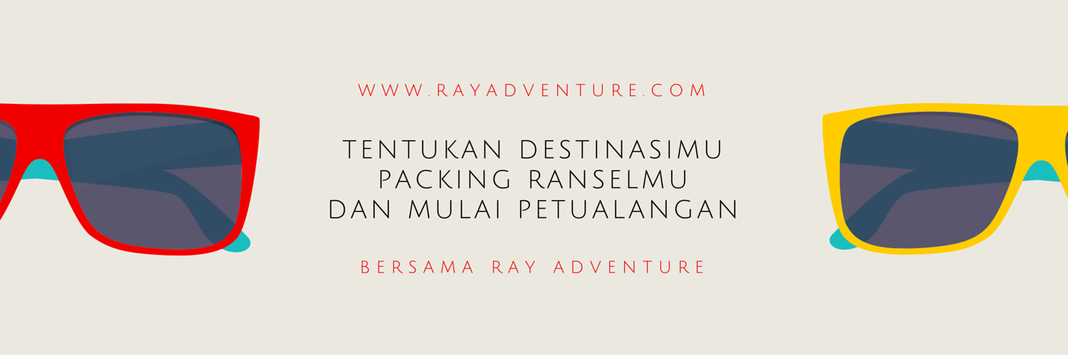 Ray Adventure banner