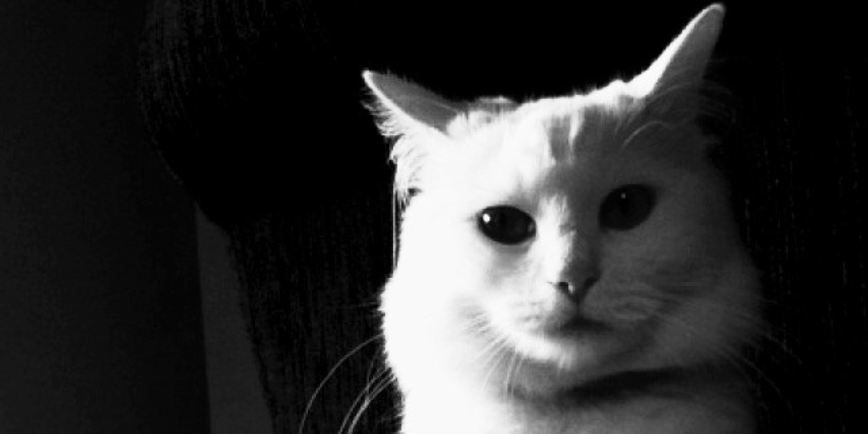 Mad_Stew's profile banner image
