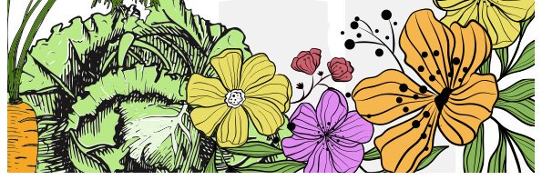 brhsociety's profile banner image