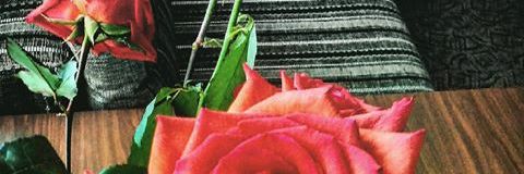 Kisyluu's profile banner image