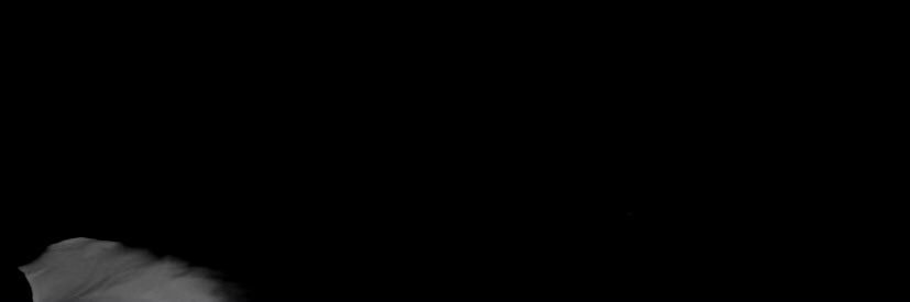 affectingharry's profile banner image