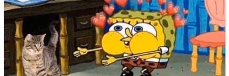 lilyisalizard's profile banner image