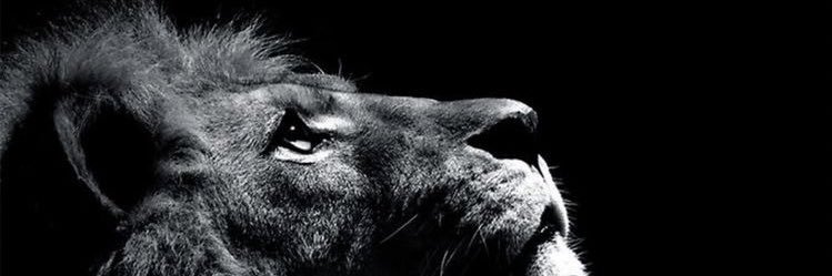 andreeeeew9's profile banner image