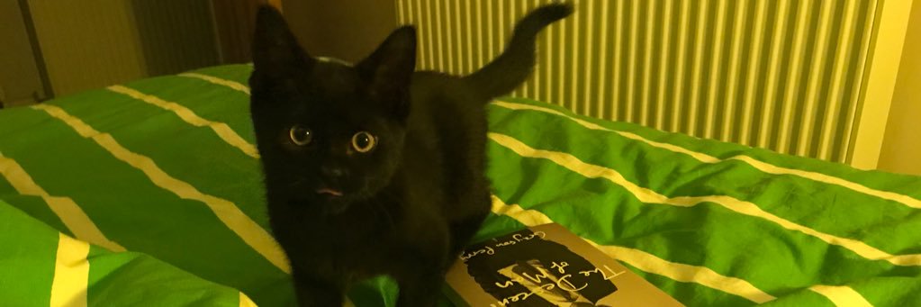 PowerSophie's profile banner image