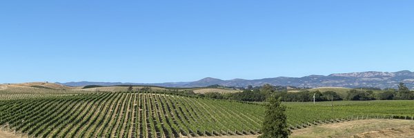 KenTabor Profile Banner