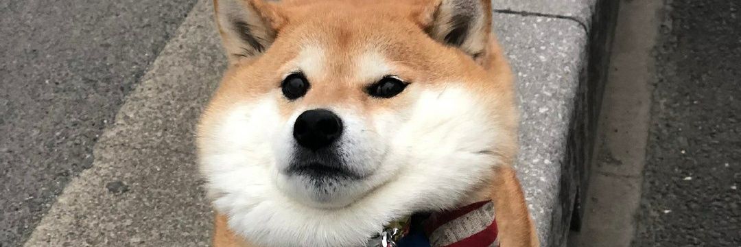 FunJoo_'s profile banner image