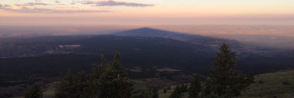 Wildstagman's profile banner image