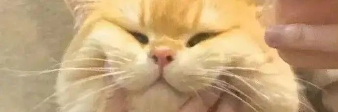 thinkinga1ot's profile banner image