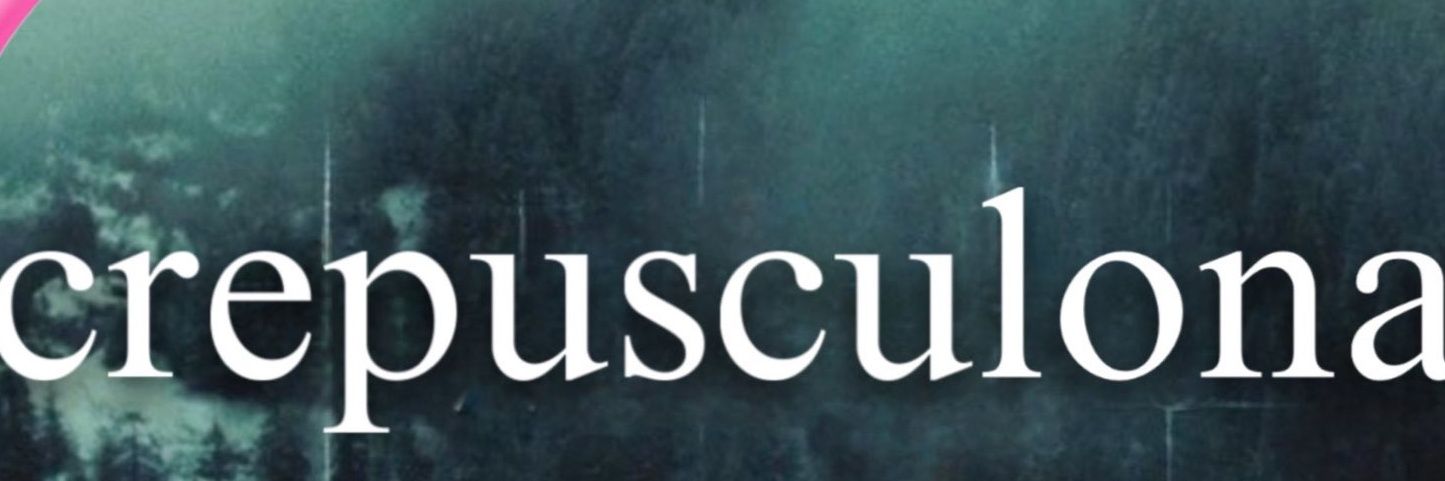Ash_Idiotechum's profile banner image