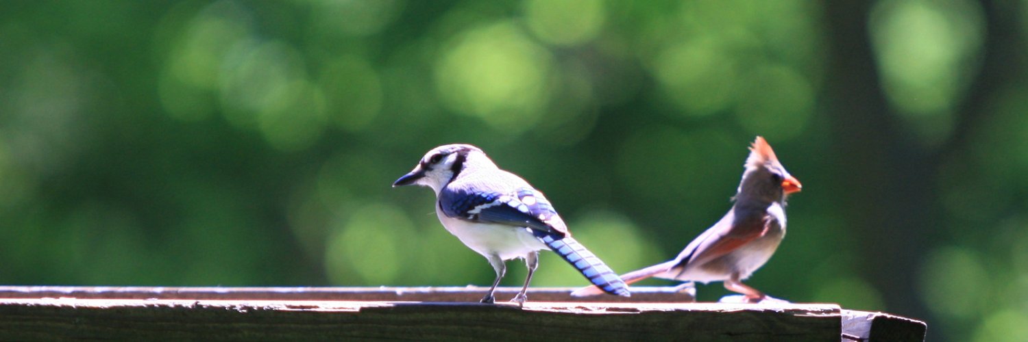SchuylkillCtr's profile banner image