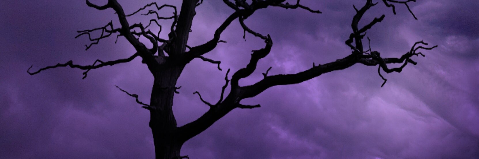Chelsea_Luna_'s profile banner image